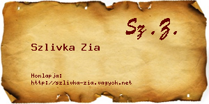 Szlivka Zia névjegykártya